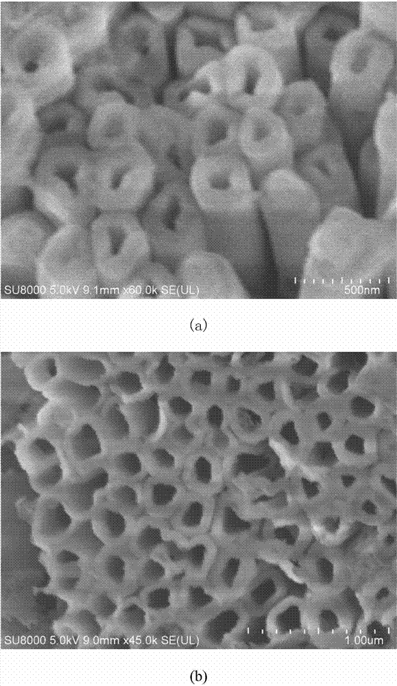 Electrochemical synthesis method of nickel-phosphorus alloy nanotube array