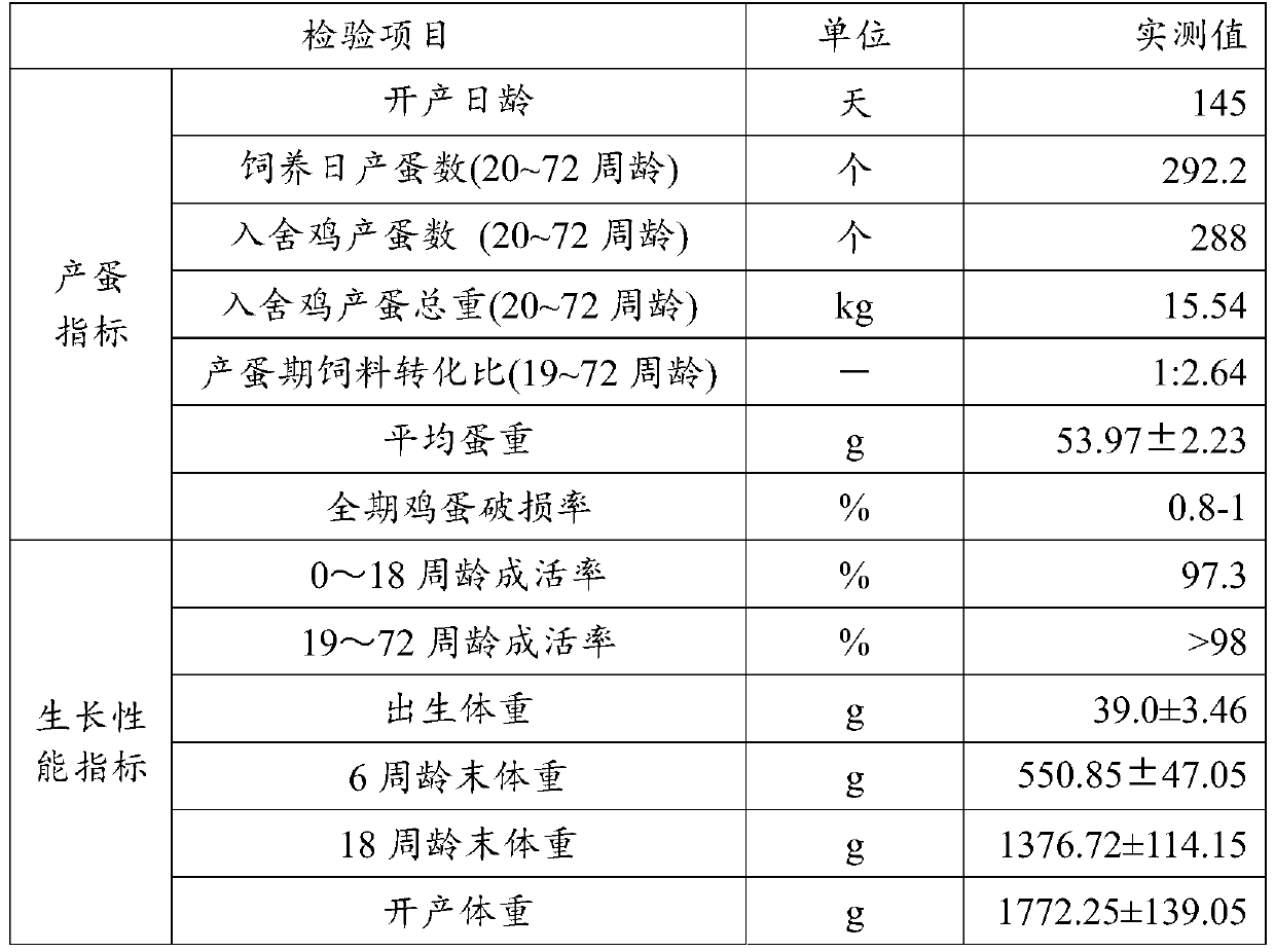 Seed production method of feather color dual auto-sexing black feather and pink shell high-yield special laying hen complete set line