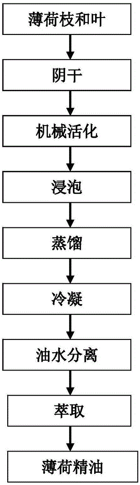 Method for extracting peppermint essential oil