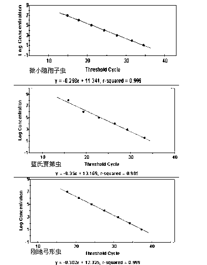 Various important aquagenic zoonoses protozoa simultaneous assay kit and preparation method thereof