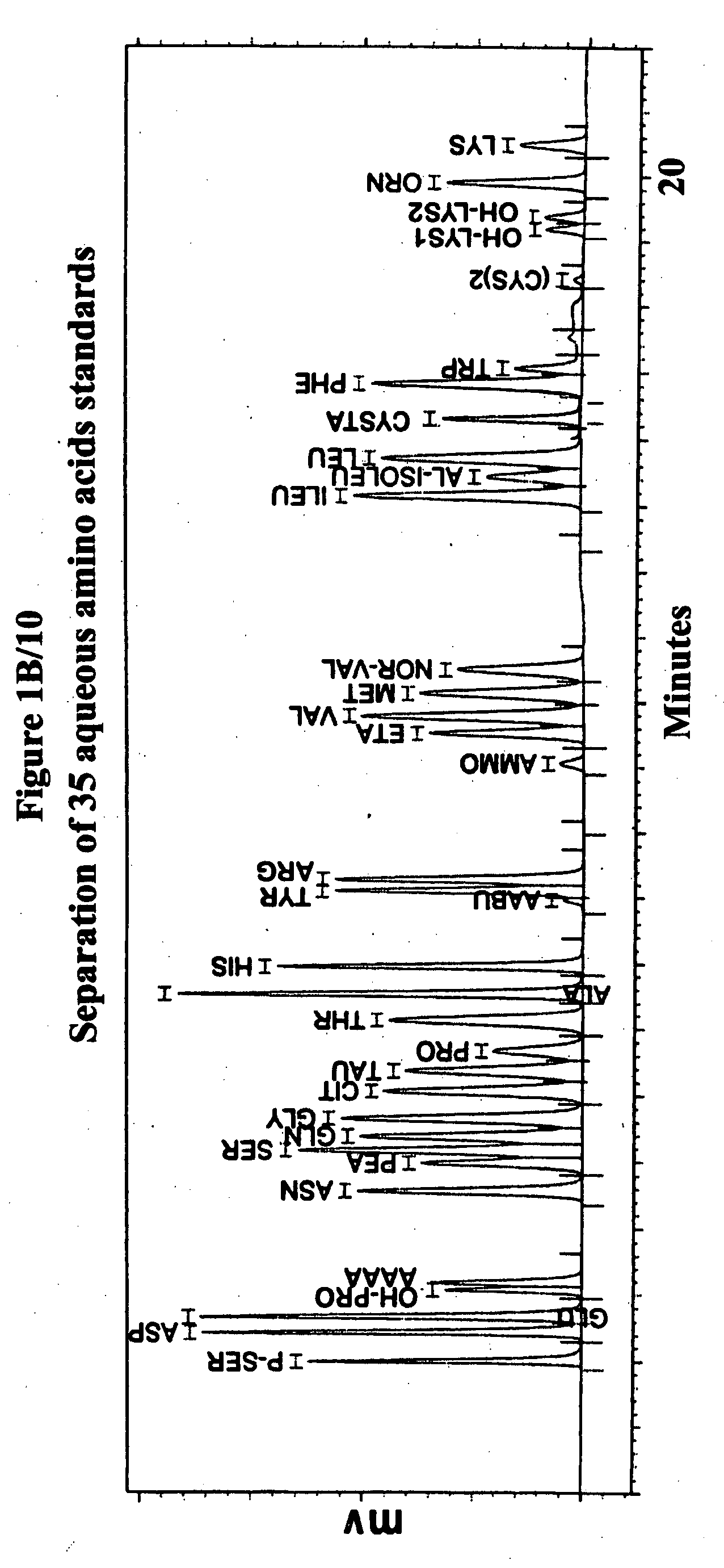 Human plasma free amino acids profile using pre-column derivatizing reagent- 1-naphthylisocyanate and high performance liquid chromatographic method