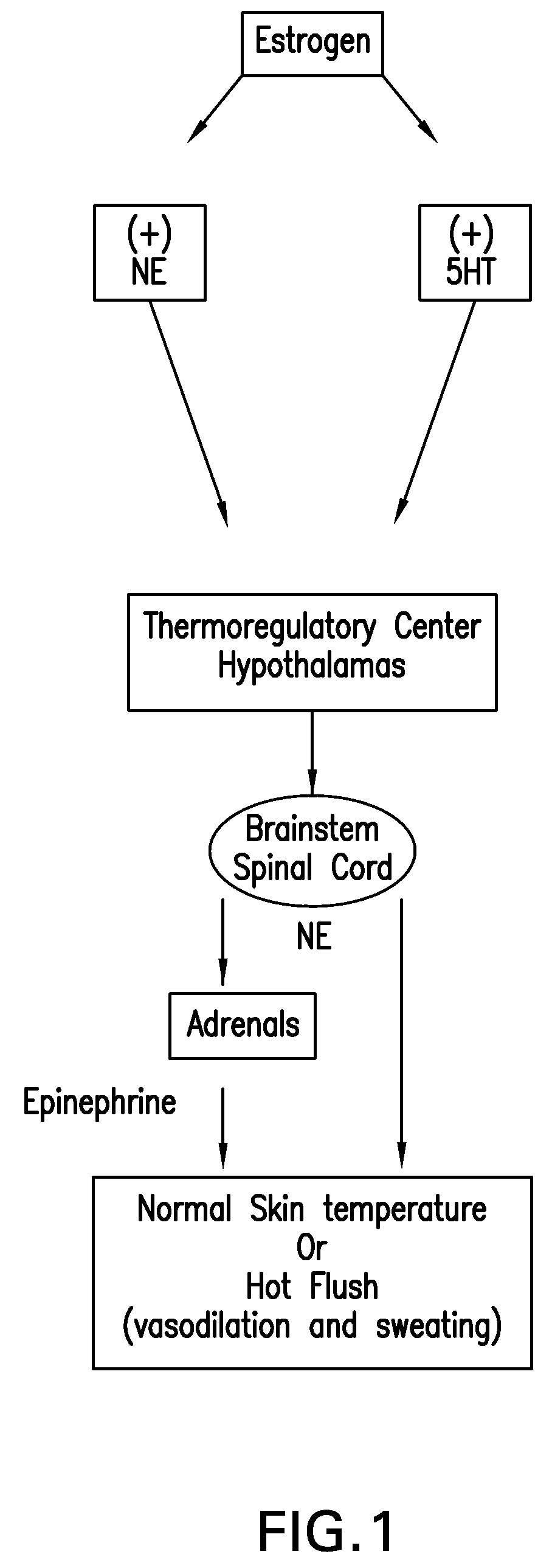 Use of norepinephrine reuptake modulators for preventing and treating vasomotor symptoms