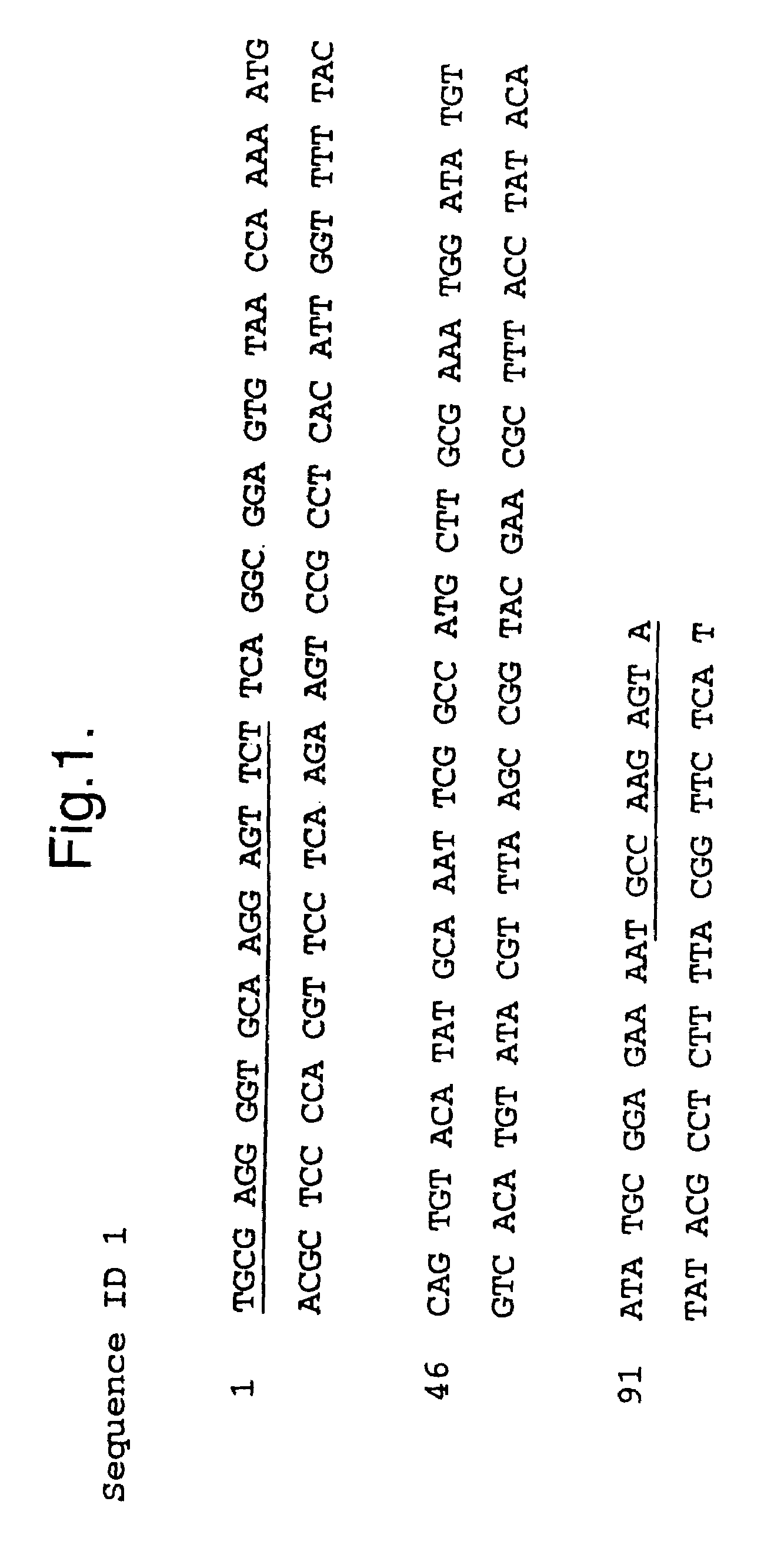 Method of expressing Heliothis ecdysone receptor fusion protein