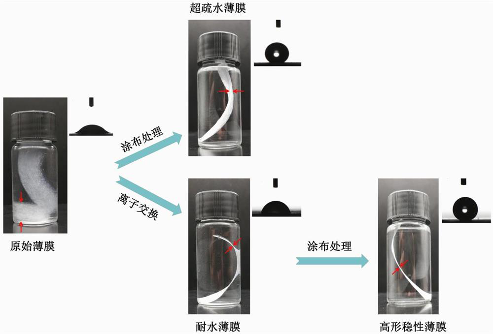 A kind of cellulose-based transparent waterproof film with high shape stability and preparation method thereof