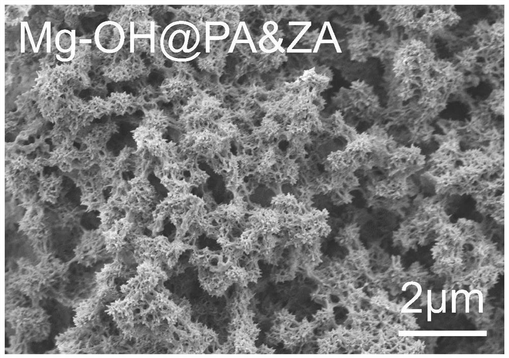 Bidirectional regulation of osteoblast and osteoclast response behavior coating and its construction method