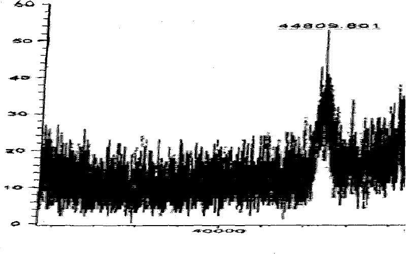 Monoclonal antibody of fluoroquinolone medicines as well as preparation method and application thereof