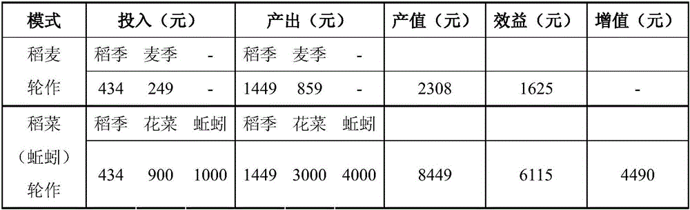 Method for paddy-upland rotation rice and vegetable planting