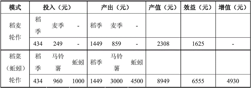 Method for paddy-upland rotation rice and vegetable planting