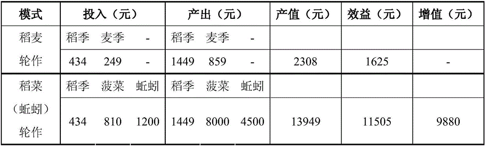 Method for paddy-upland rotation rice and vegetable planting