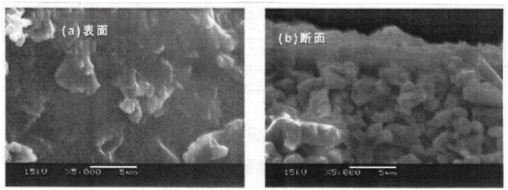 Zeolite membrane, production method therefor, and separation method using same