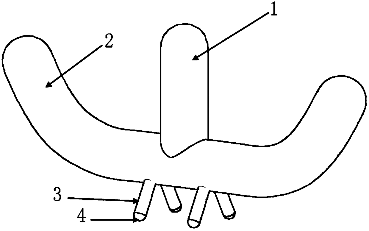 Meridian massage device and method