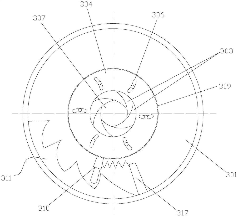 An adjustable heart defect occluder