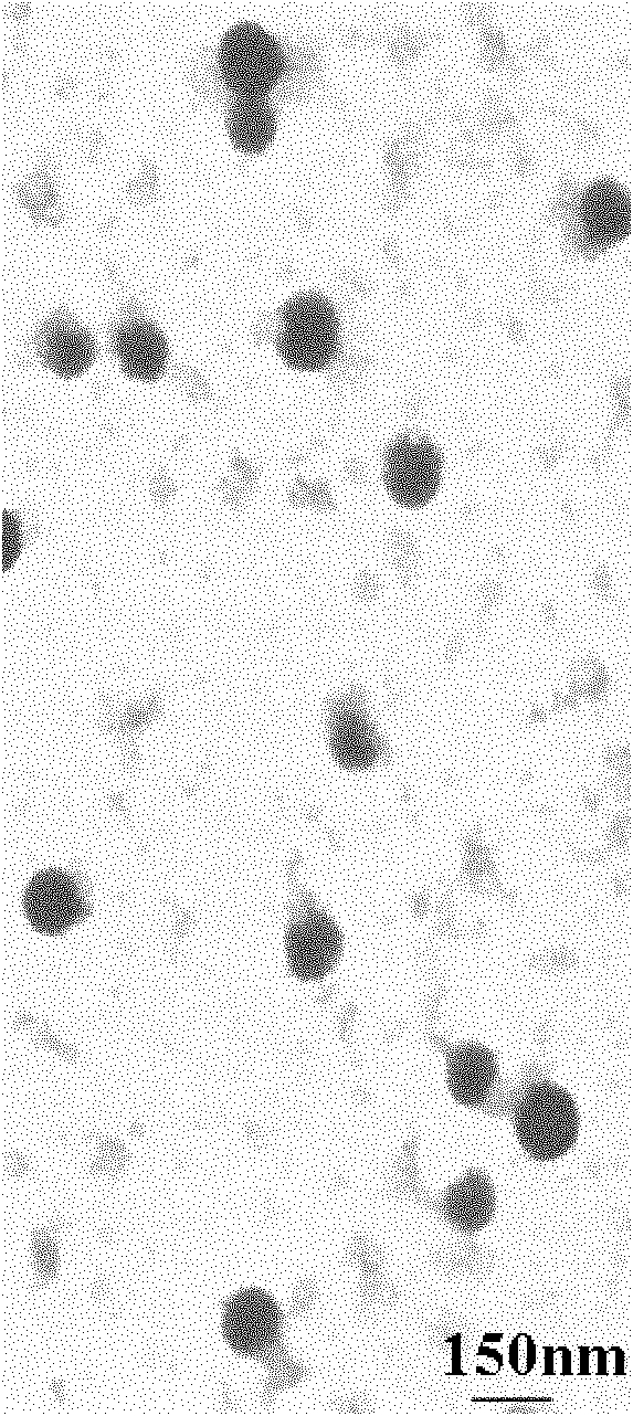 Lipoid-cation polymer and preparation method thereof