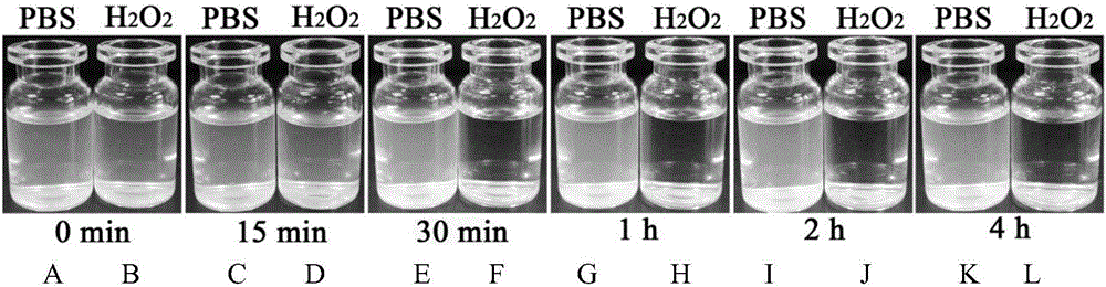 Intelligent cerebral stroke drug carrier for ROS (reactive oxygen species) response and preparation method of drug carrier