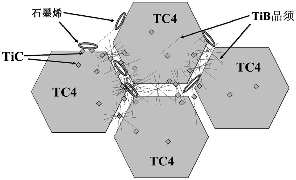 Preparing method capable of achieving TC4 titanium alloy high toughness through co-reinforcement method