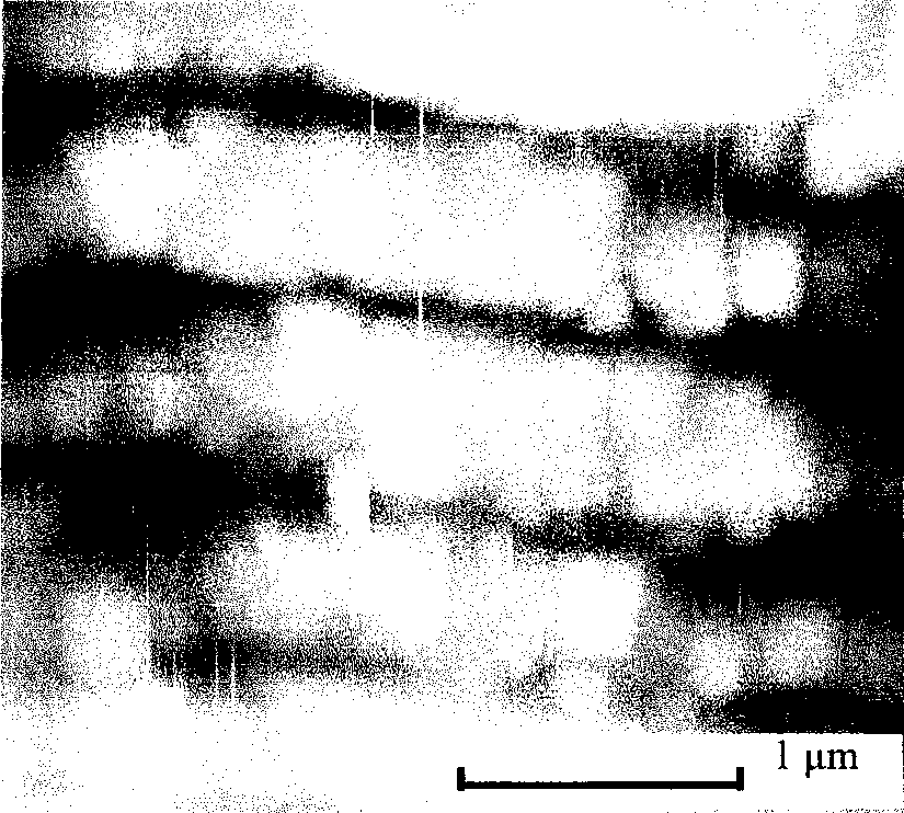 Micro-nano structure preparation method on metallic material surface using femtosecond laser