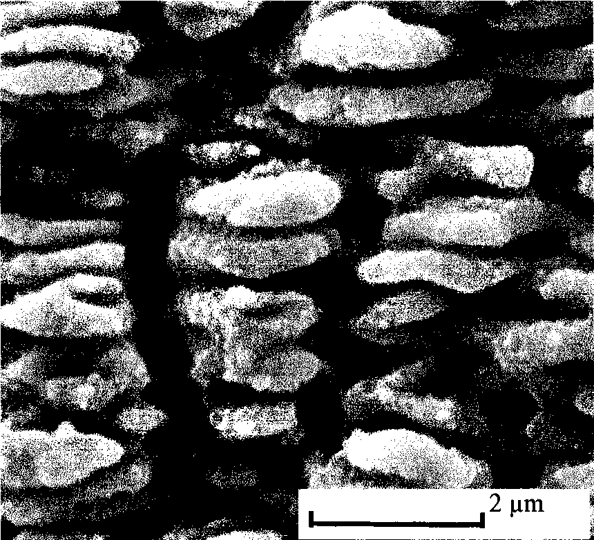 Micro-nano structure preparation method on metallic material surface using femtosecond laser