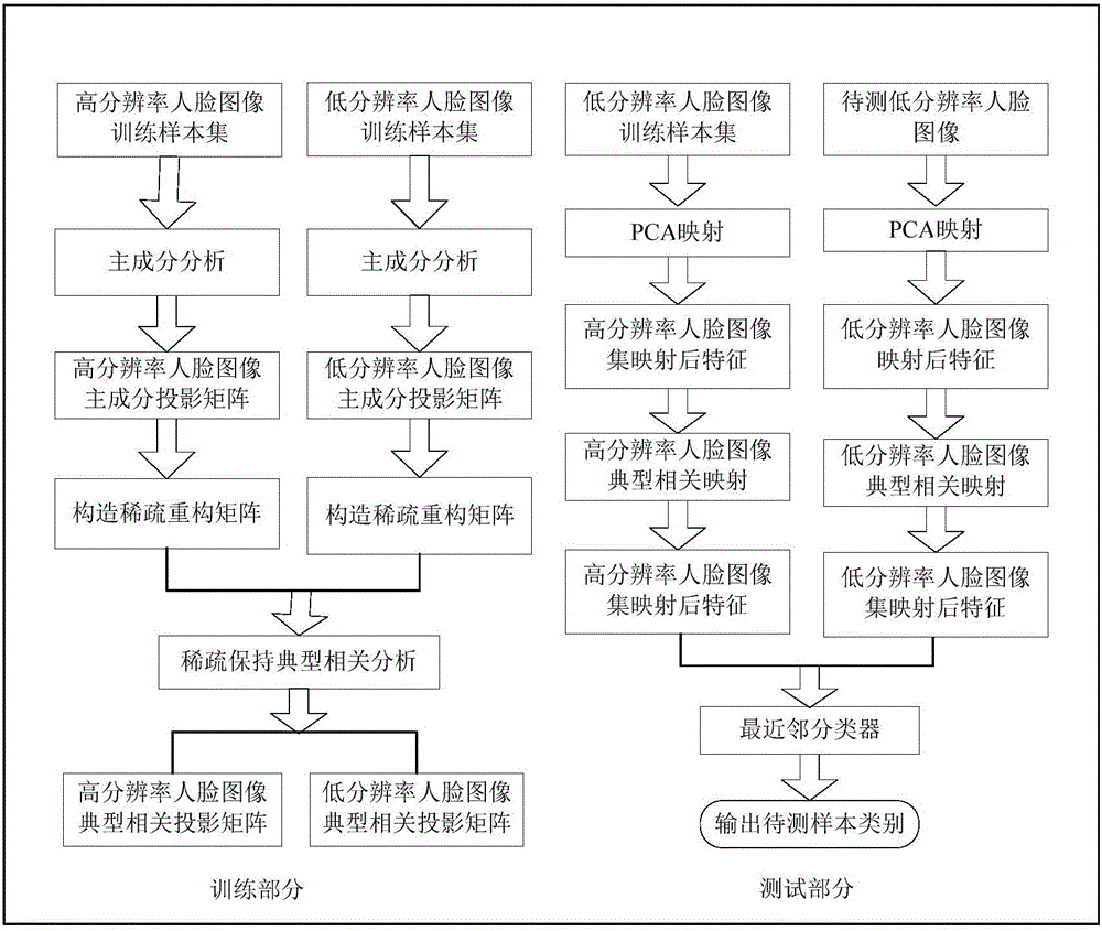 Low-resolution human face recognition method based on sparse maintaining canonical correlation analysis