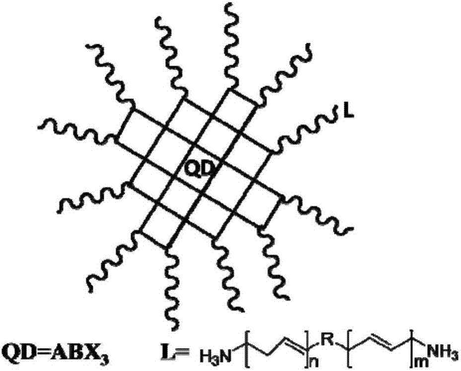 Conjugated ligand-based perovskite quantum dot, and preparation method and application thereof