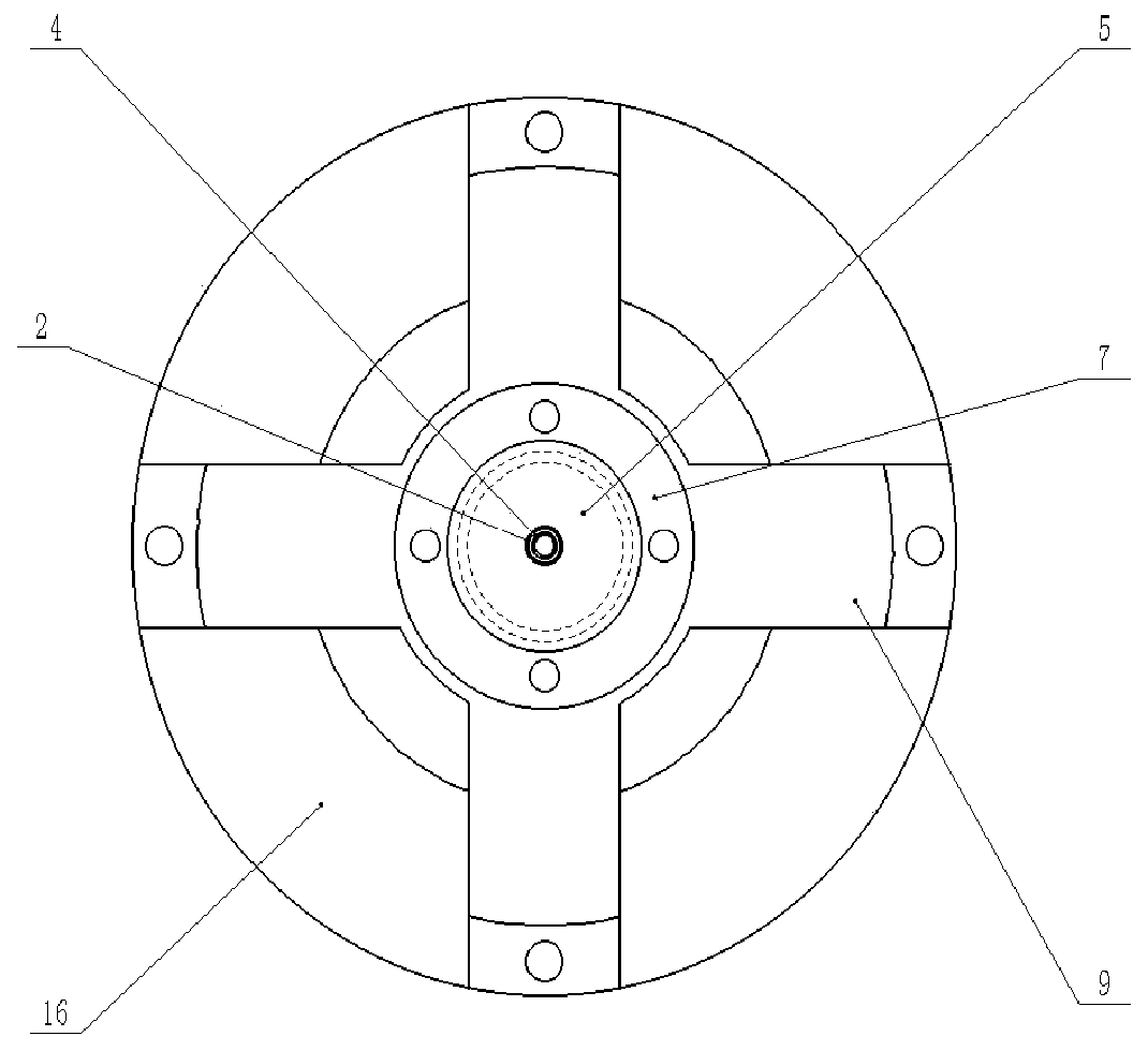 Dynamic ring type linear compressor