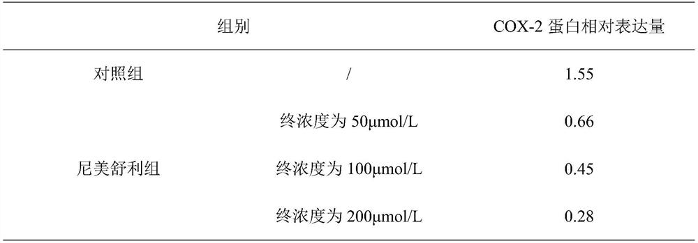 Application of Cyclooxygenase-2 and Its Inhibitors in Bladder Cancer