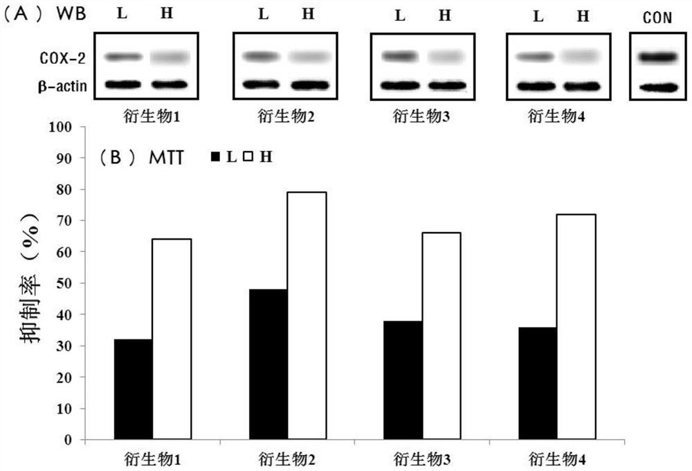 Application of Cyclooxygenase-2 and Its Inhibitors in Bladder Cancer