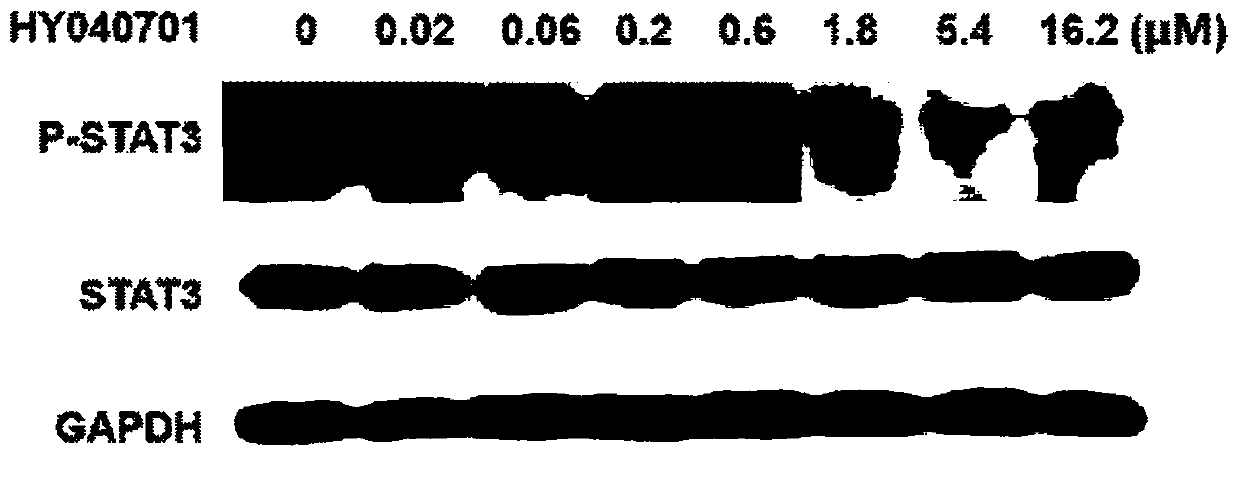 Naphthoquinone-fused triazole core skeleton derivative compound, preparation method and application thereof