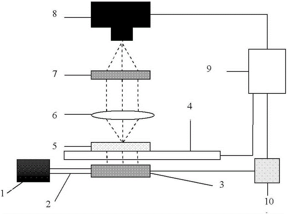 A Structured Illumination Microscopic Imaging System Based on Integrated Photonic Chip