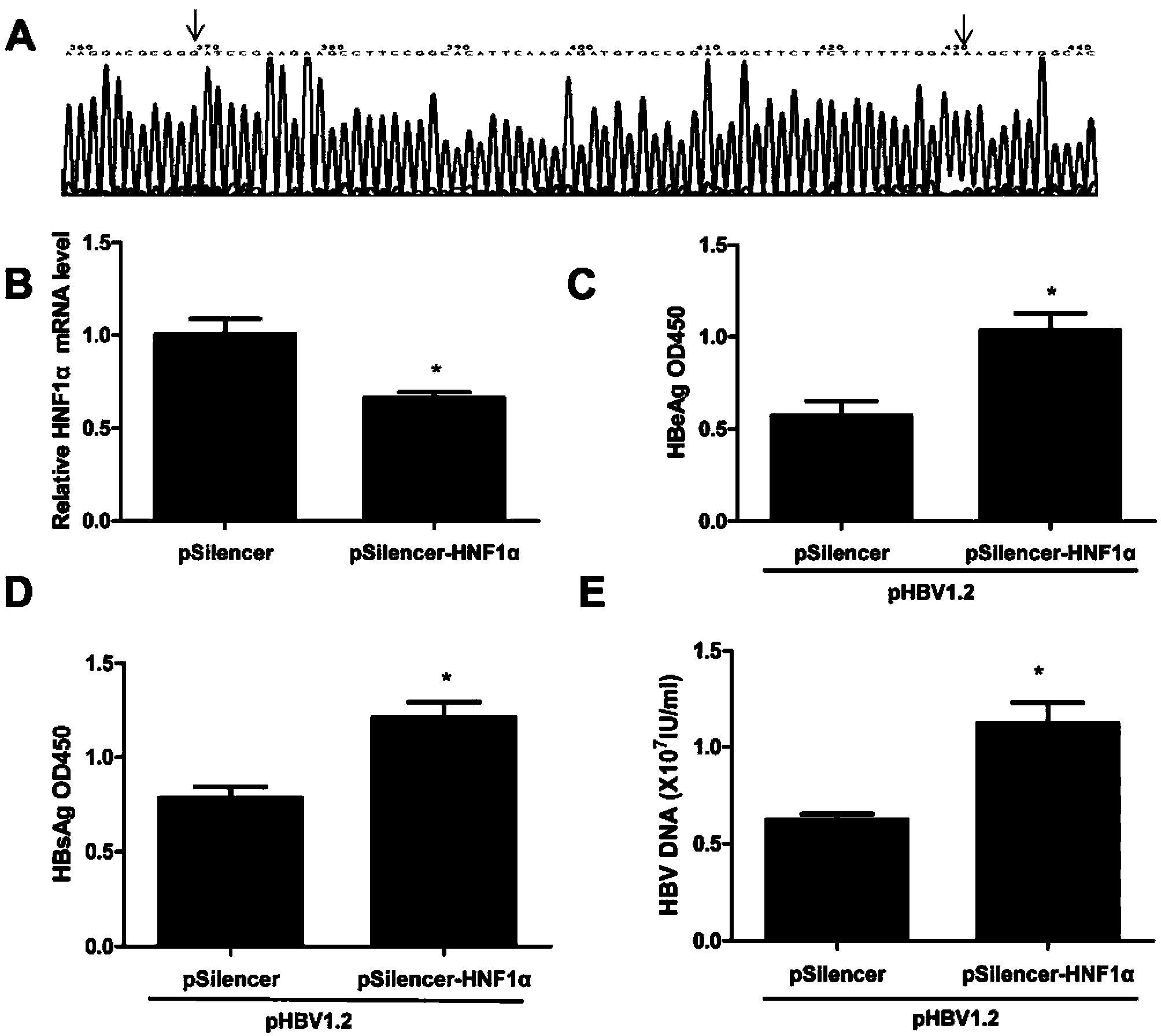 Novel anti-HBV endogenous protein HNF1alpha and application thereof