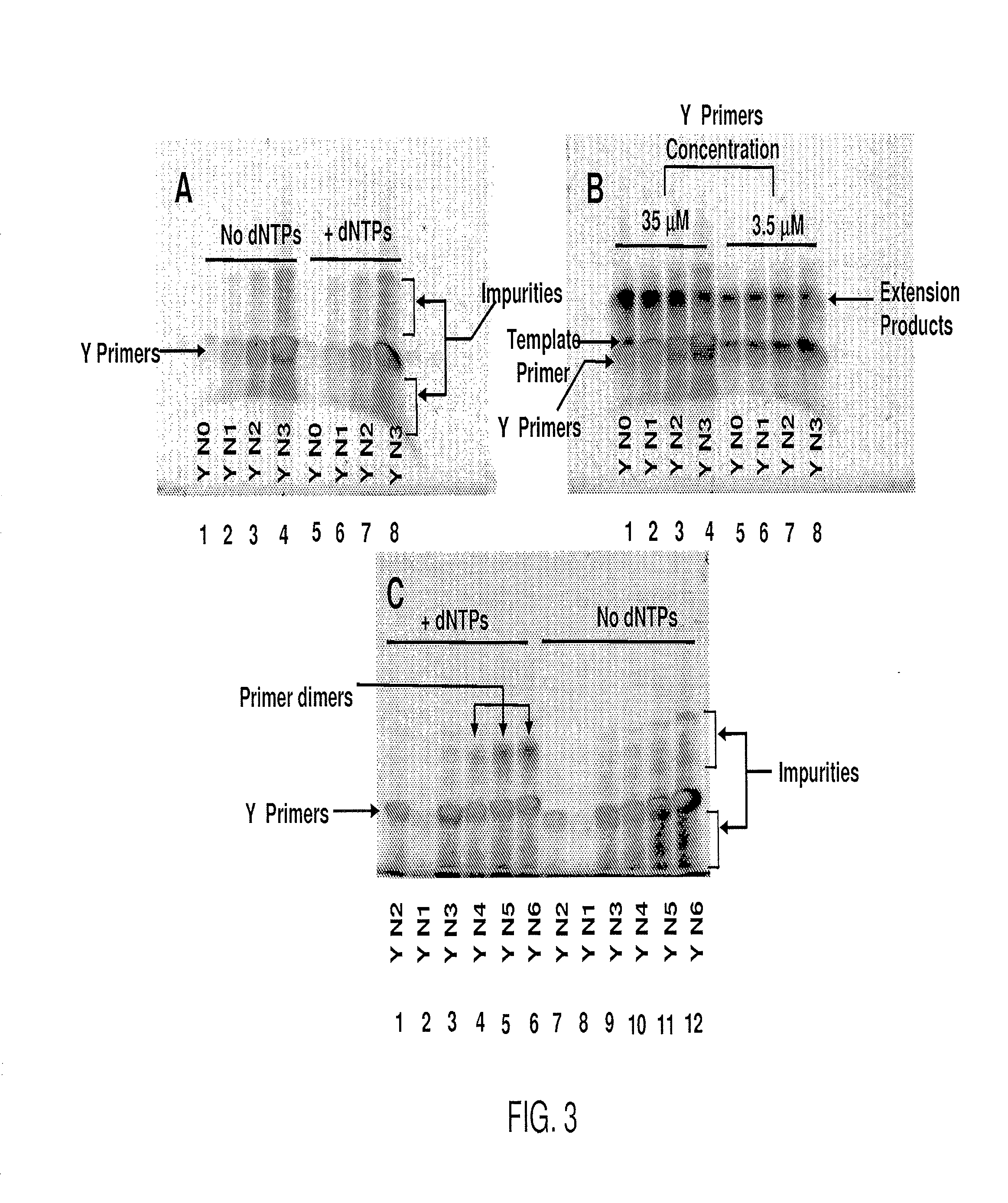 Substantially non-self complementary primers