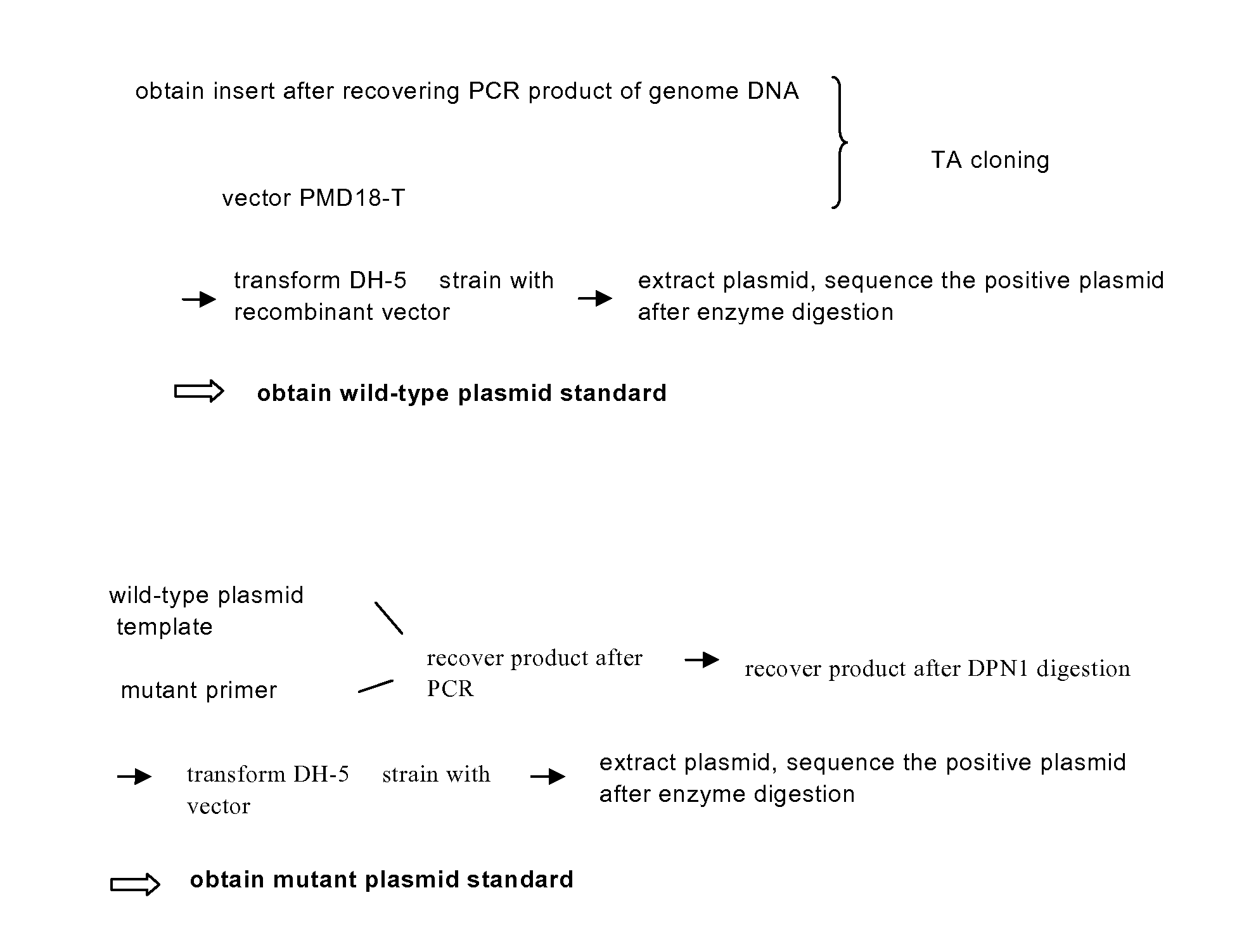 Reagent kit for quantitatively detecting the mutations of epidermal growth factor receptor(EGFR)