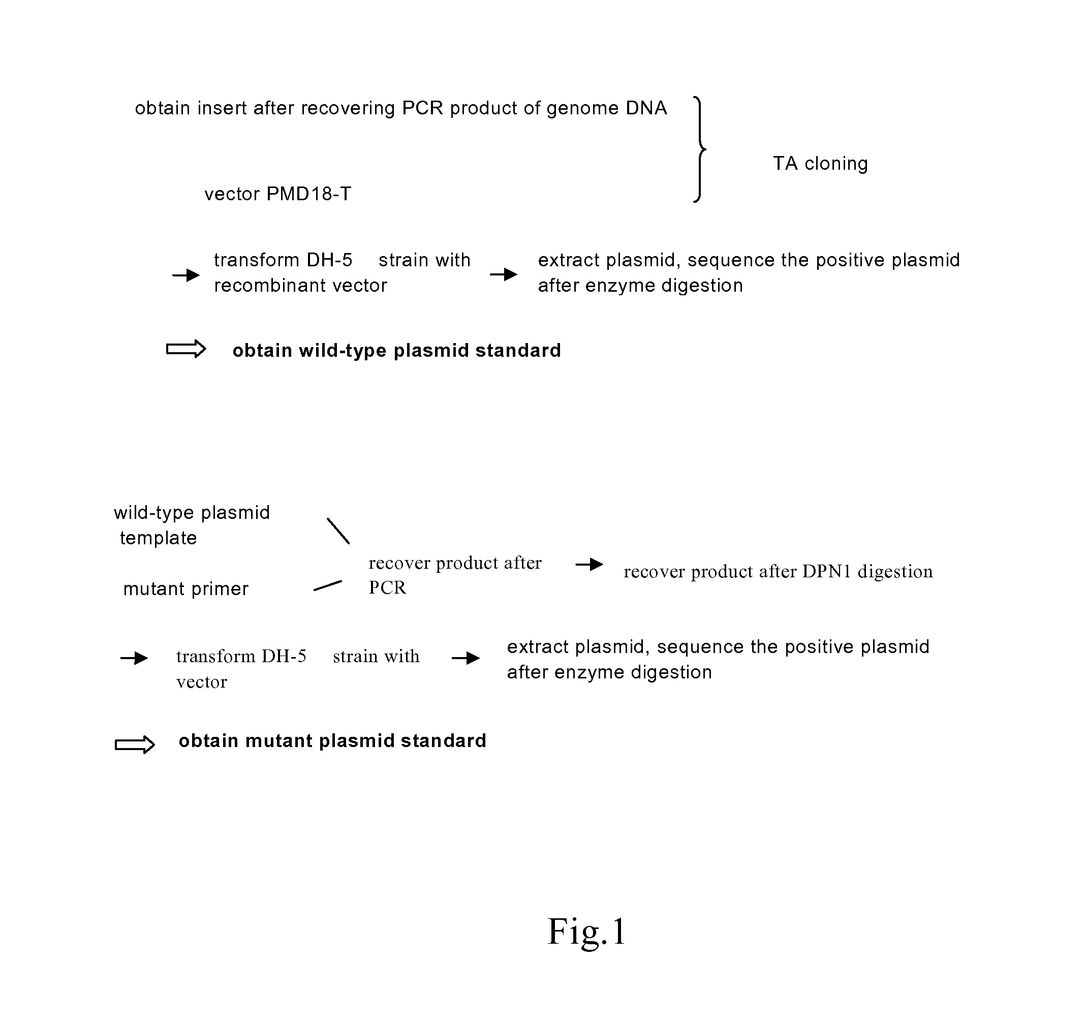 Reagent kit for quantitatively detecting the mutations of epidermal growth factor receptor(EGFR)