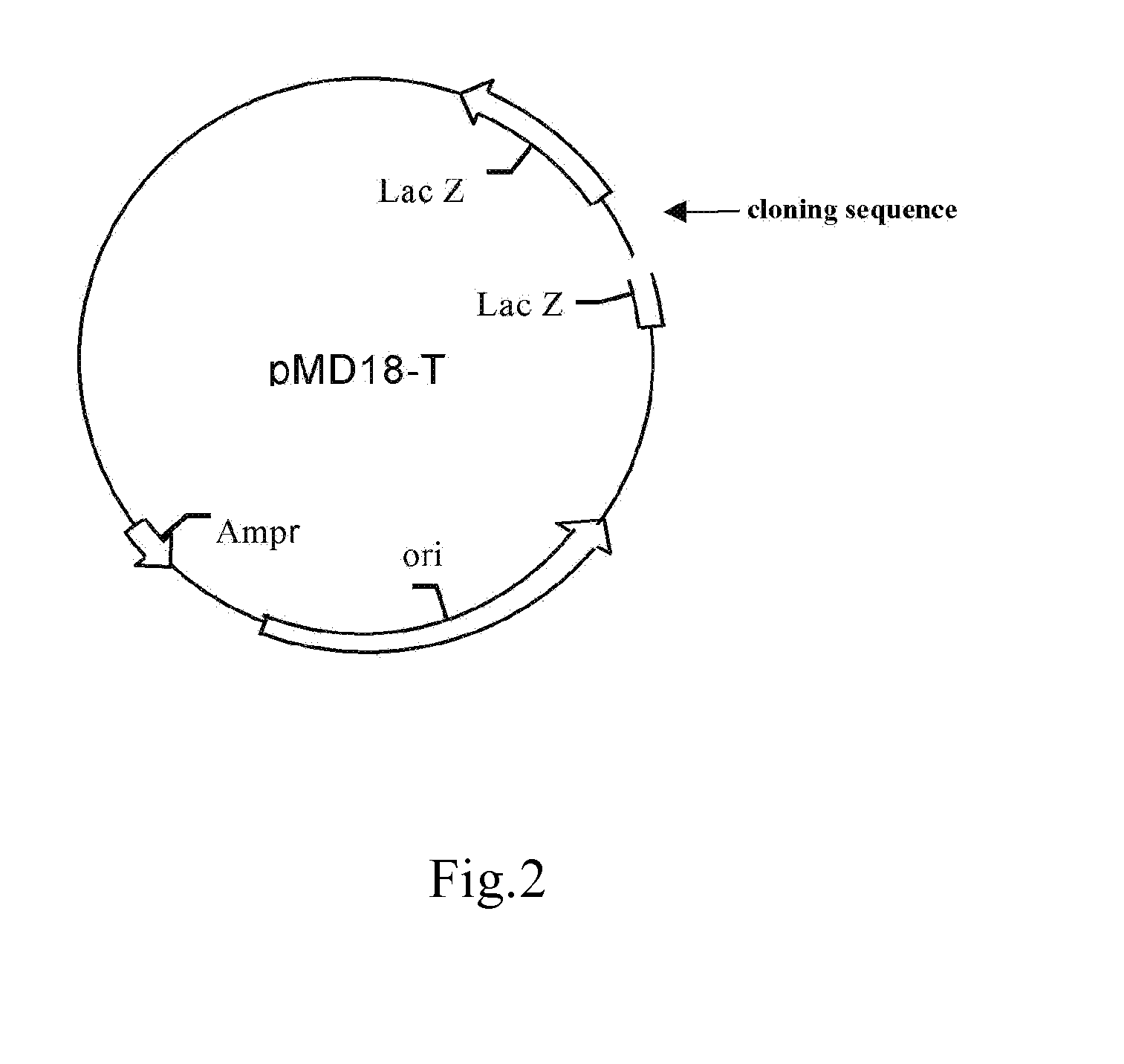 Reagent kit for quantitatively detecting the mutations of epidermal growth factor receptor(EGFR)