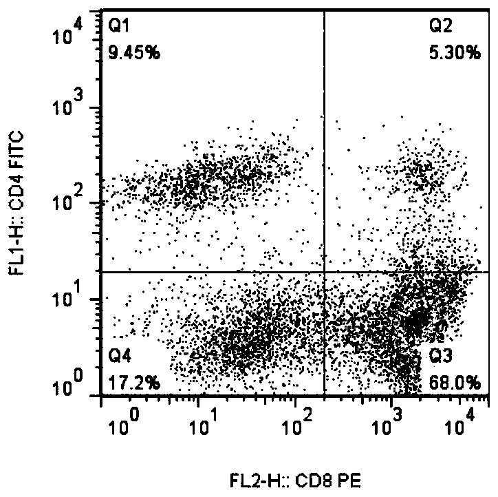 Construction method of HAFFT1 cells