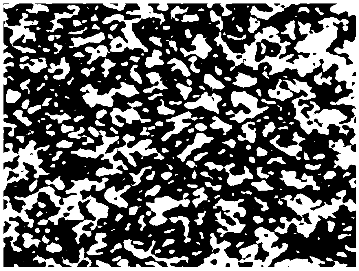 Permanent magnet material and preparation method thereof