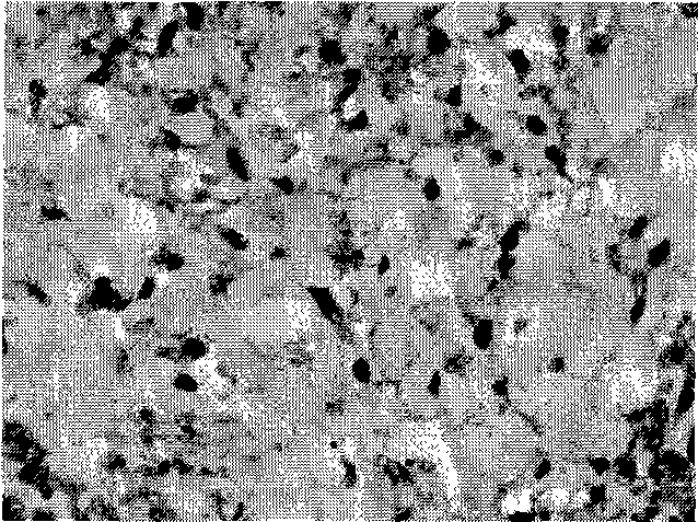 Constructing method of bracket-free engineering cartilaginous tissue and product thereof