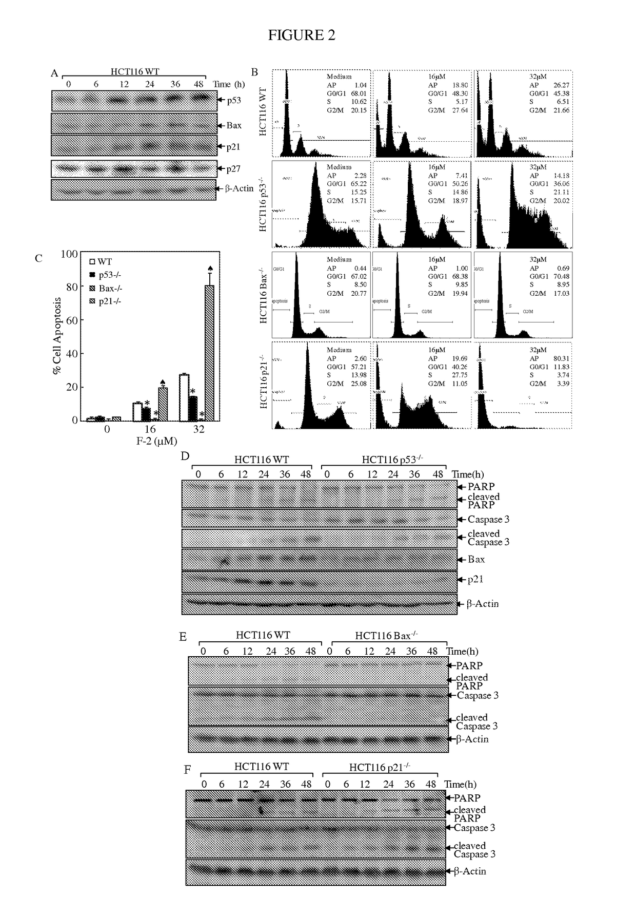 Substituted lactones for treating cancer