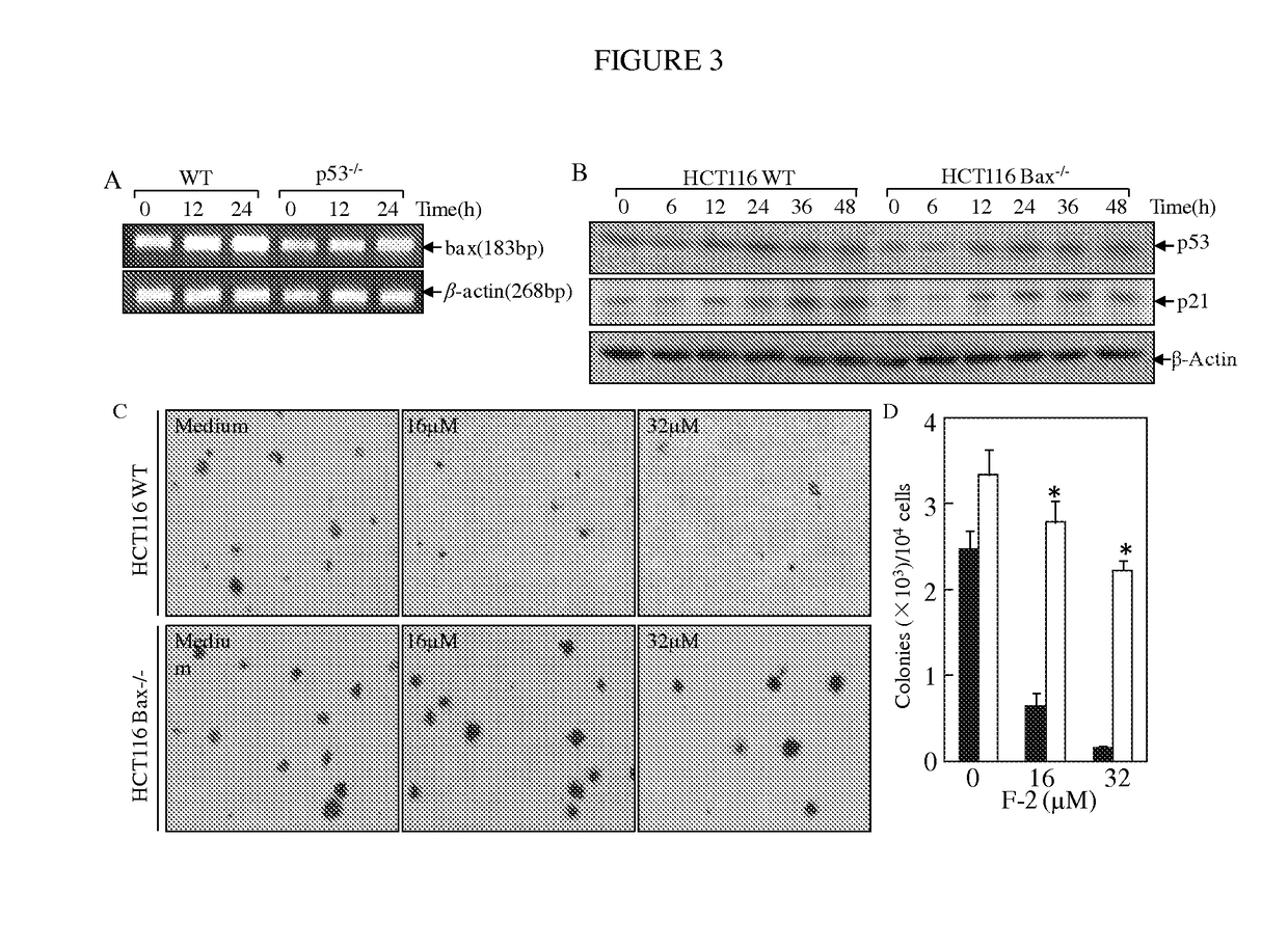 Substituted lactones for treating cancer