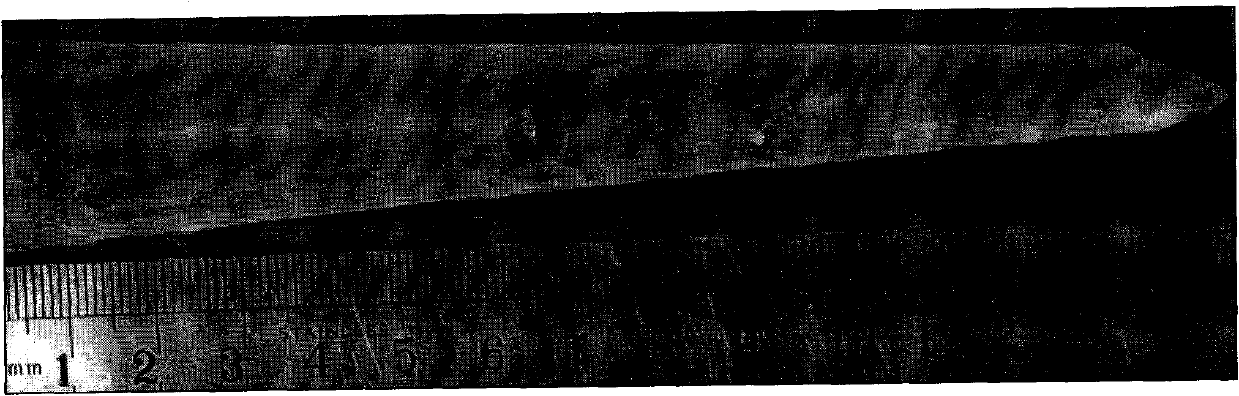 Cerium-doped rare earth borate scintillating crystal and Bridgman preparation method thereof