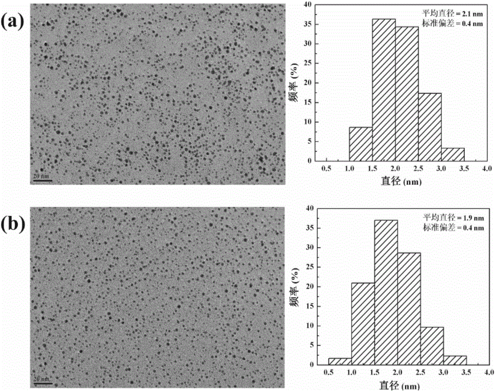 A method for functionalized polyamide-amine dendrimers and their nanocomposites for gene transfection