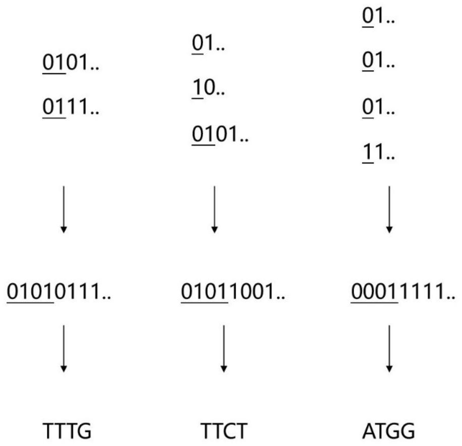 Coding and decoding method and coding and decoding device for binary information to base sequence for DNA data storage