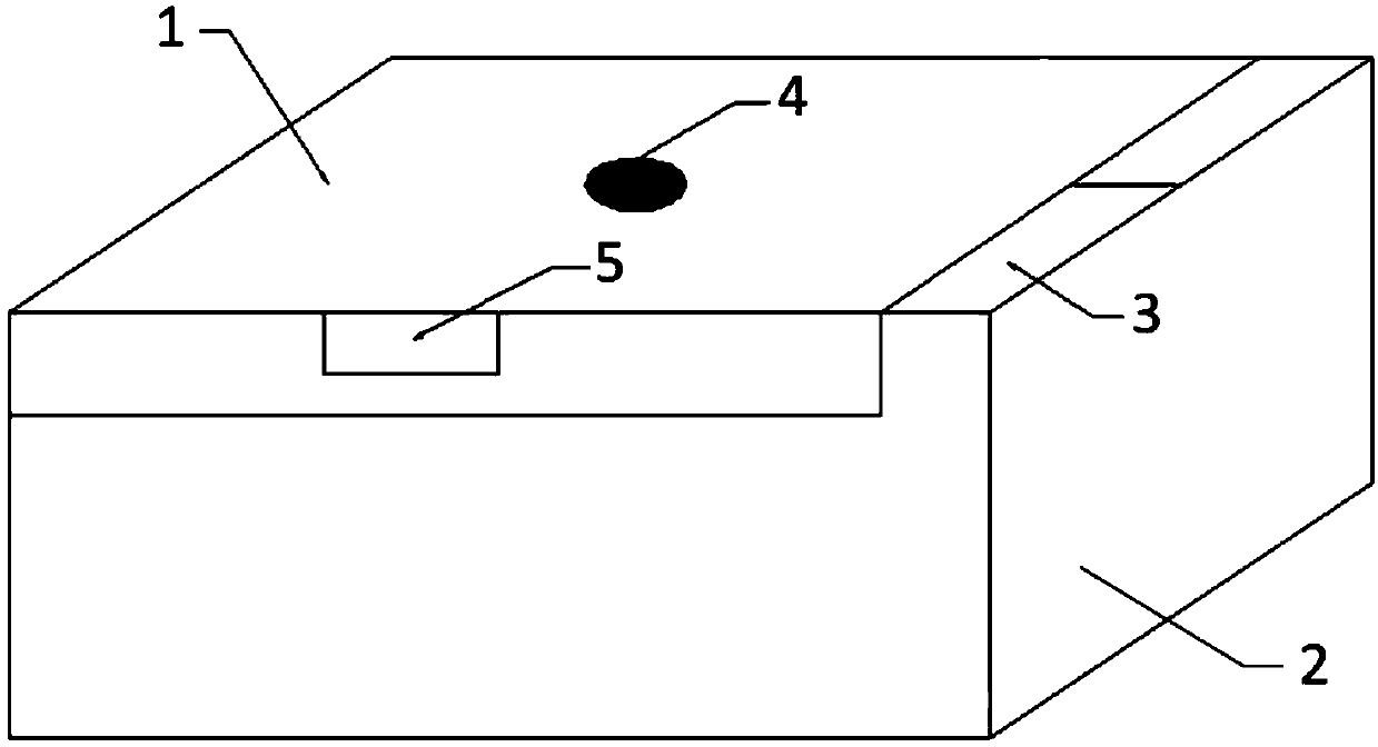 Shoe washing machine and control method thereof