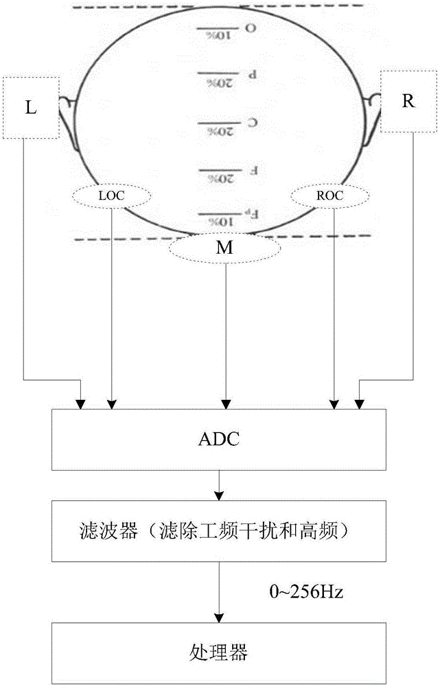 Equipment for eliminating ocular artifacts during sleeping state analysis