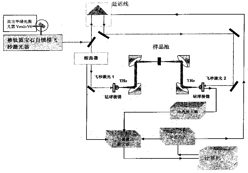 Method for quickly detecting amyloid protein by thzTHz time-domain light spectrum