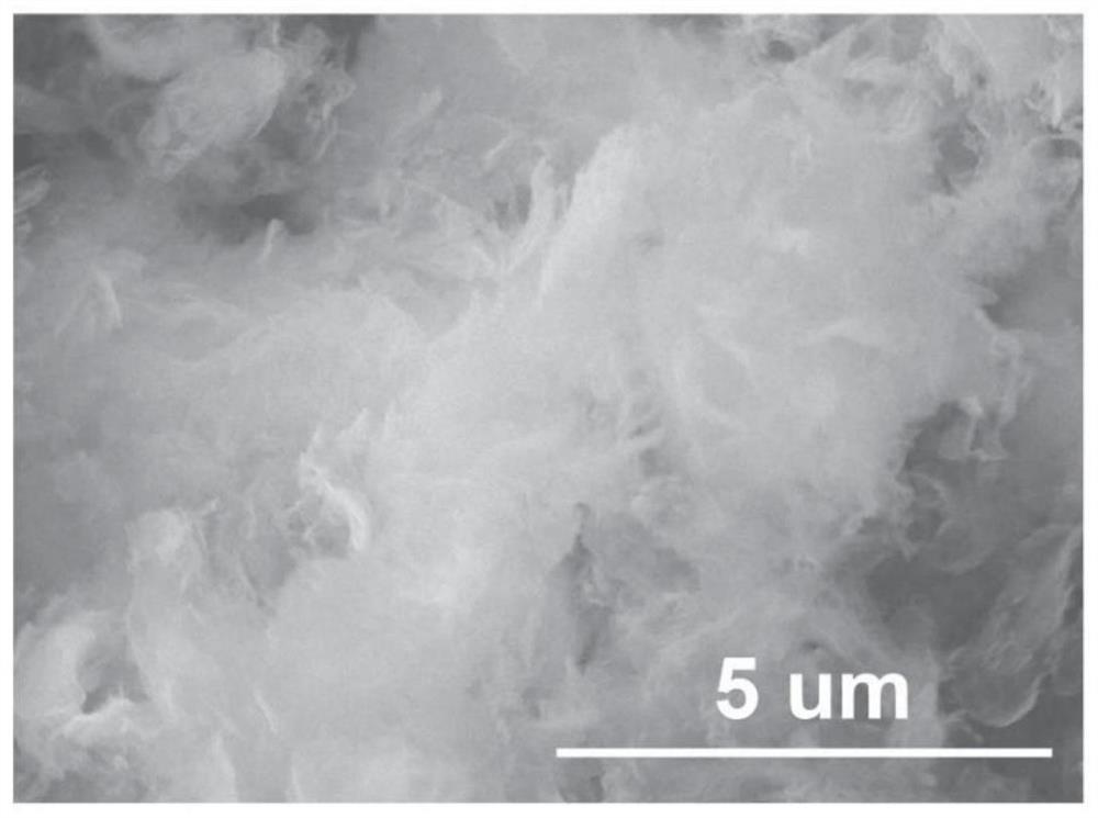 Preparation method and application of M-N-C monatomic catalyst