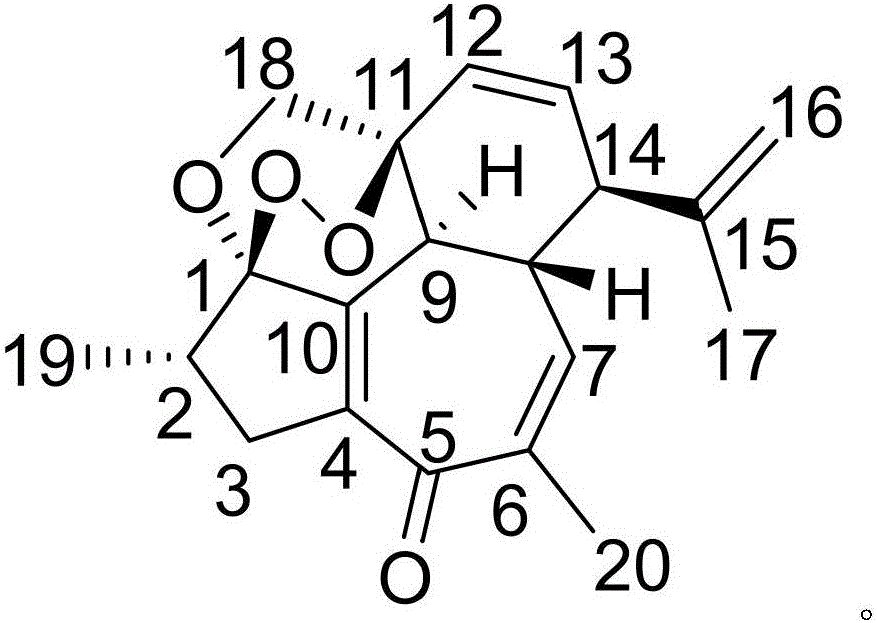 Chlorpropamide drug composition and pharmaceutical application thereof