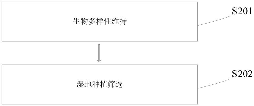 Wetland plant screening method capable of maintaining biodiversity of constructed wetland