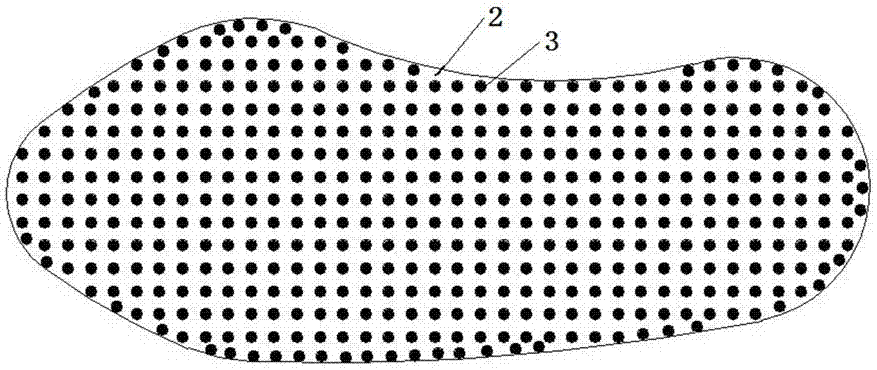 Foot blister resistant shoe pad for high strength load bearing march and preparation method of foot blister resistant shoe pad