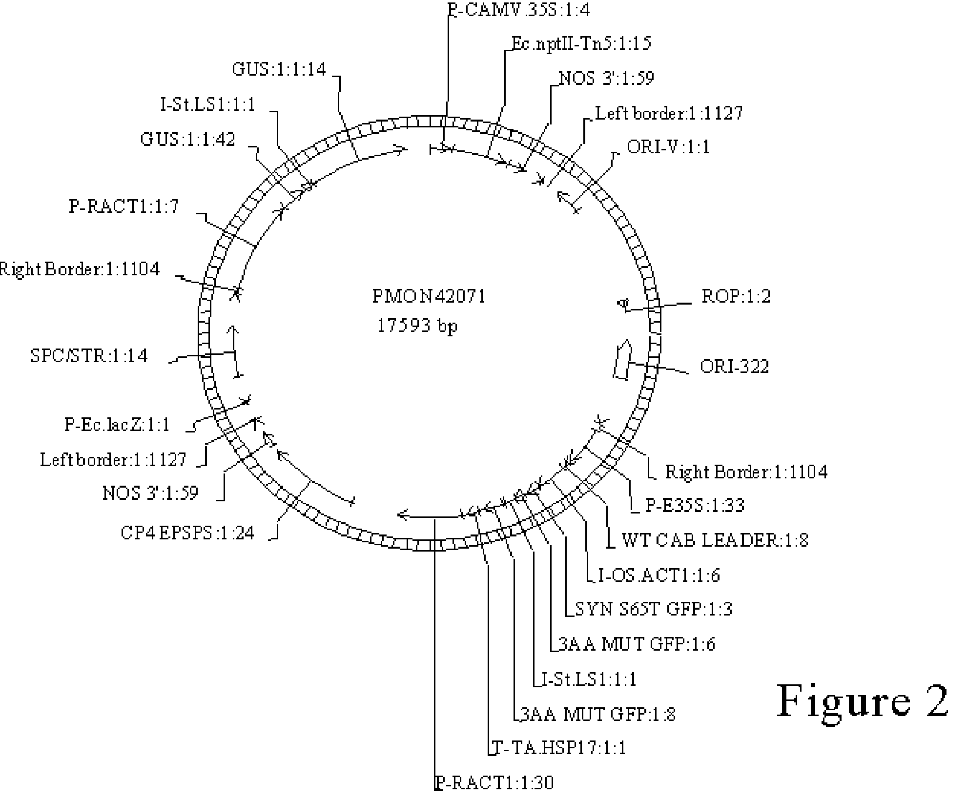 Methods for corn transformation