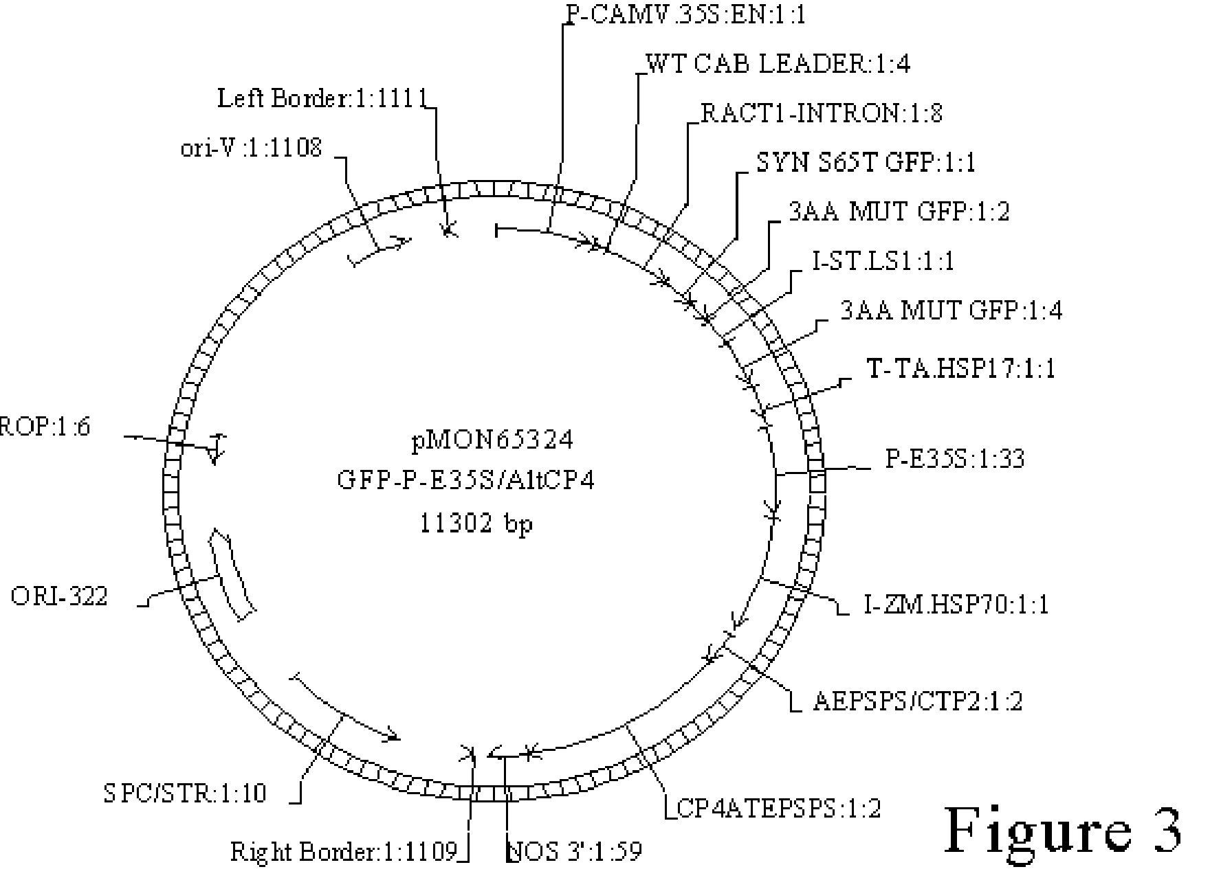 Methods for corn transformation